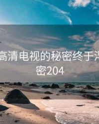 国产4k高清电视的秘密终于浮现 · 秘密204