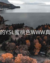 未公开的YSL蜜桃色WWW真相公布