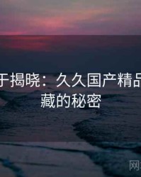 真相终于揭晓：久久国产精品背后隐藏的秘密