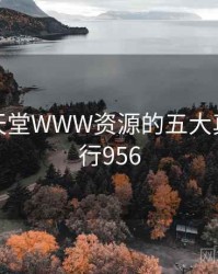 揭秘：天堂WWW资源的五大真相 · 排行956