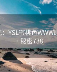 真相曝光：YSL蜜桃色WWW原来如此 · 秘密738