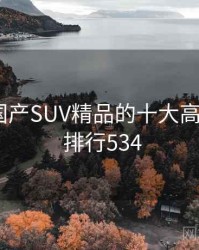 盘点：国产SUV精品的十大高光瞬间 · 排行534