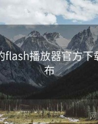 未公开的flash播放器官方下载真相公布