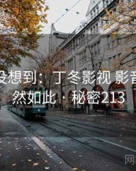 你绝对没想到：丁冬影视 影音先锋竟然如此 · 秘密213