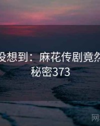 你绝对没想到：麻花传剧竟然如此 · 秘密373