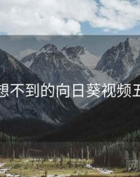 你绝对想不到的向日葵视频五个细节