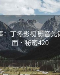 暗中故事：丁冬影视 影音先锋的另一面 · 秘密420