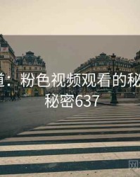 追踪报道：粉色视频观看的秘密链条 · 秘密637