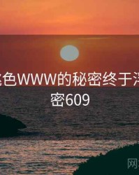 YSL蜜桃色WWW的秘密终于浮现 · 秘密609