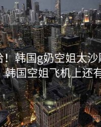 哈哈哈哈！韩国g奶空姐太沙雕了 · 热点403，韩国空姐飞机上还有这待遇