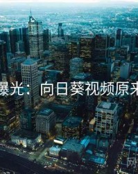 真相曝光：向日葵视频原来如此