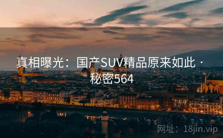 真相曝光：国产SUV精品原来如此 · 秘密564