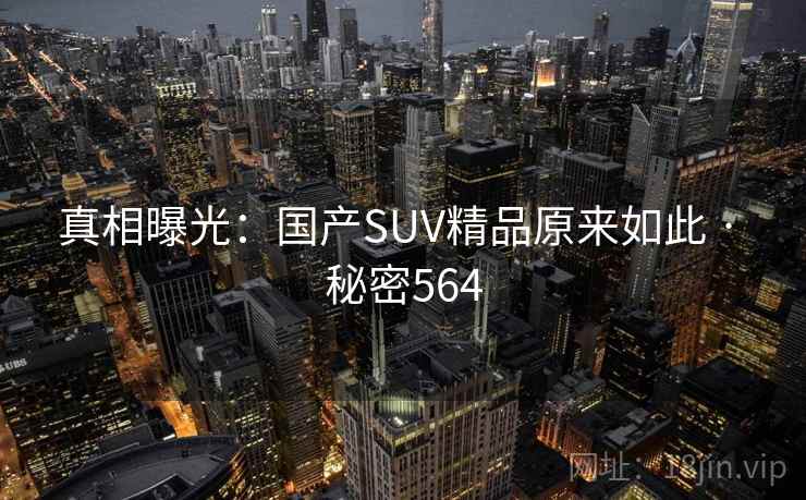 真相曝光：国产SUV精品原来如此 · 秘密564